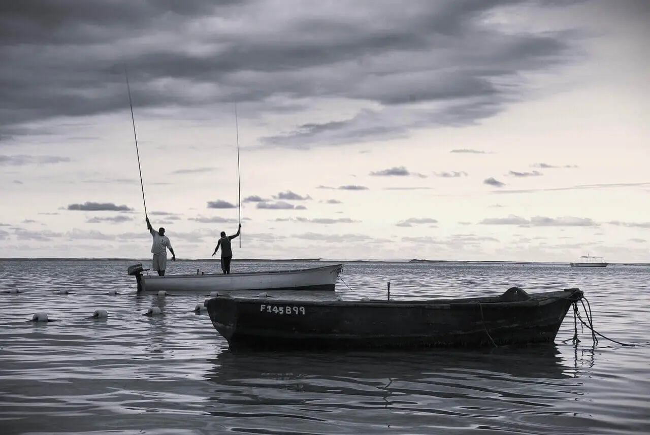 canne à pêche au coup