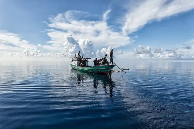 la pêche au coup sur une piroque