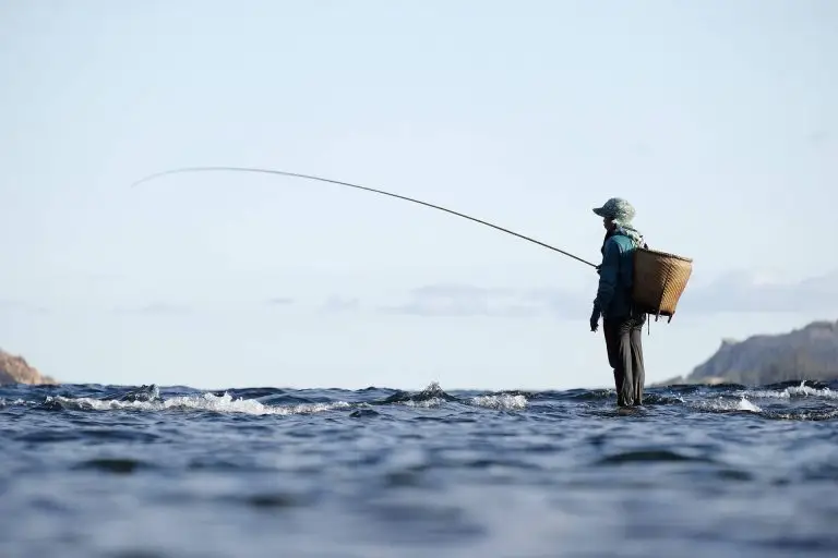 la peche en surfcasting avec un meilleur moulinet